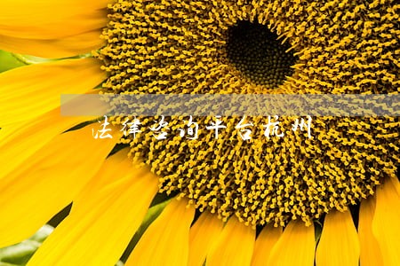 法律咨询平台杭州 法律咨询平台杭州