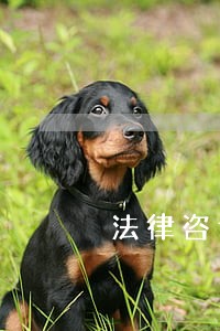 法律咨询平台流程 法律咨询平台流程