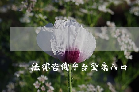 法律咨询平台登录入口