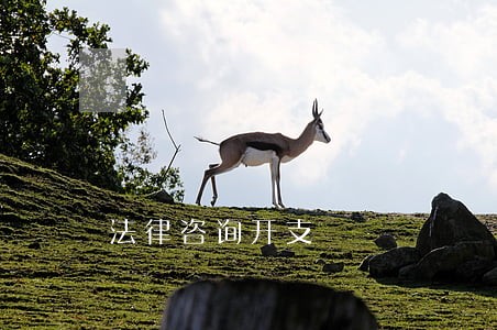 法律咨询开支 法律咨询开支