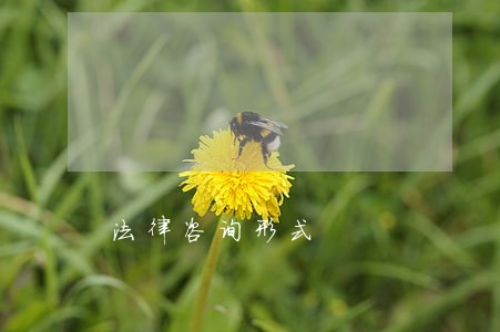 法律咨询形式 法律咨询形式