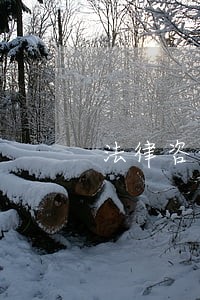 法律咨询律师事务所价位 法律咨询律师事务所价位