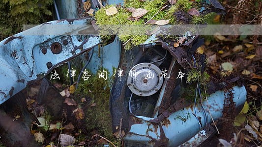 法律咨询律师函范本 法律咨询律师函范本