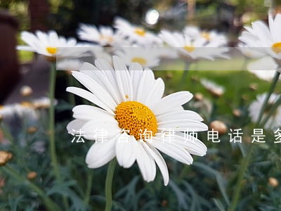 法律咨询律师电话是多少 法律咨询律师电话是多少