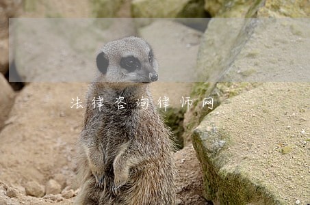 法律咨询律师网 法律咨询律师网