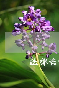 法律咨询律师费多少钱 法律咨询律师费多少钱