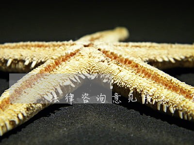 法律咨询意见书怎么写 法律咨询意见书怎么写