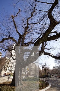法律咨询成都龙泉驿