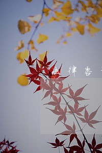 法律咨询房产合同协议 法律咨询房产合同协议