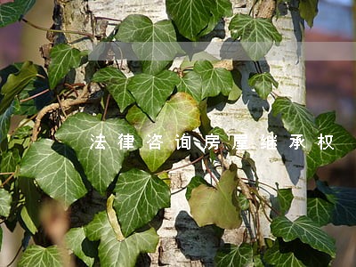法律咨询房屋继承权 法律咨询房屋继承权