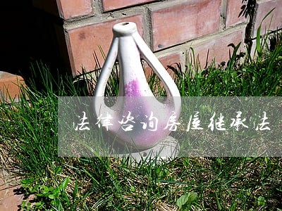 法律咨询房屋继承法 法律咨询房屋继承法