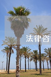 法律咨询所是什么性质 法律咨询所是什么性质