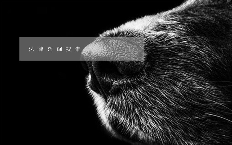 法律咨询找谁 法律咨询找谁