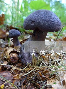 法律咨询接待登记 法律咨询接待登记