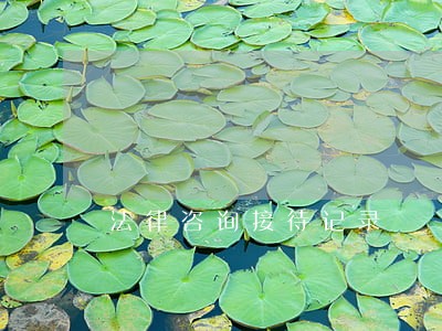 法律咨询接待记录 法律咨询接待记录
