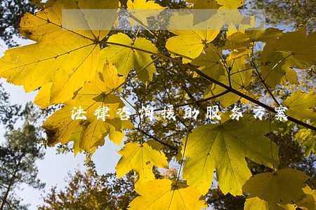 法律咨询援助服务方案 法律咨询援助服务方案