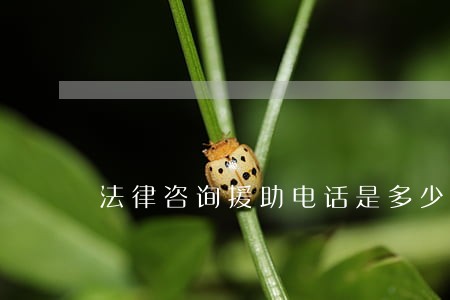 法律咨询援助电话是多少 法律咨询援助电话是多少