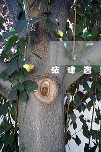 法律咨询收费价目表郑州 法律咨询收费价目表郑州