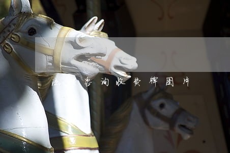 法律咨询收费牌图片