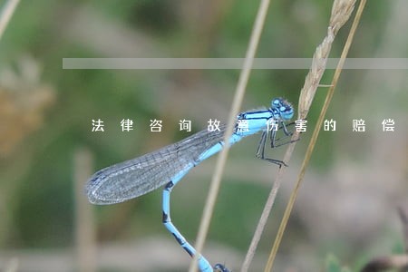 法律咨询故意伤害的赔偿 法律咨询故意伤害的赔偿