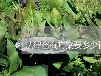 法律咨询方案要多少钱 法律咨询方案要多少钱