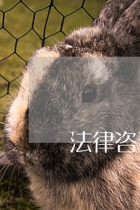 法律咨询是不是律师 法律咨询是不是律师