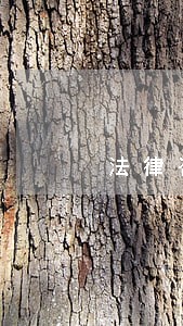 法律咨询是不是骗局 法律咨询是不是骗局