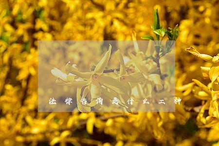法律咨询是什么工种 法律咨询是什么工种