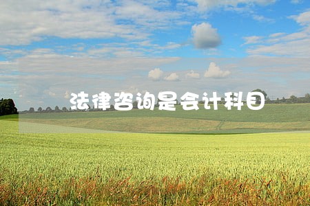 法律咨询是会计科目