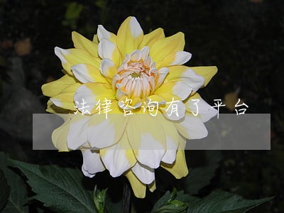 法律咨询有了平台 法律咨询有了平台