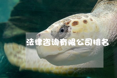 法律咨询有限公司排名 法律咨询有限公司排名