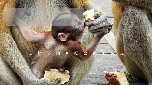 法律咨询有限公司的成立 法律咨询有限公司的成立