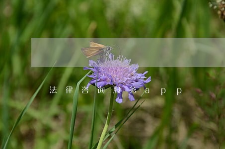 法律咨询服务app 法律咨询服务app