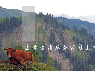 法律咨询服务公司上市 法律咨询服务公司上市
