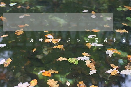 法律咨询服务公司是什么 法律咨询服务公司是什么
