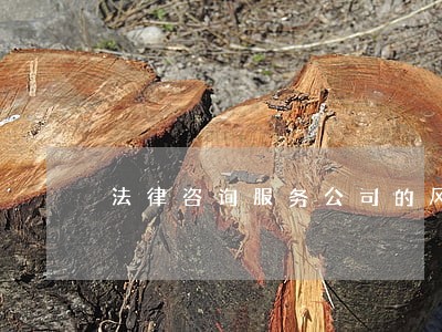 法律咨询服务公司的风险 法律咨询服务公司的风险