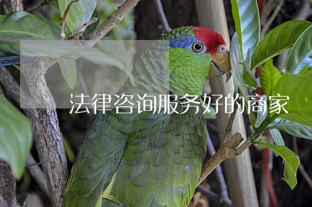 法律咨询服务好的商家 法律咨询服务好的商家