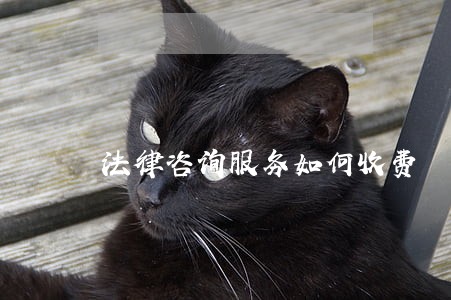 法律咨询服务如何收费
