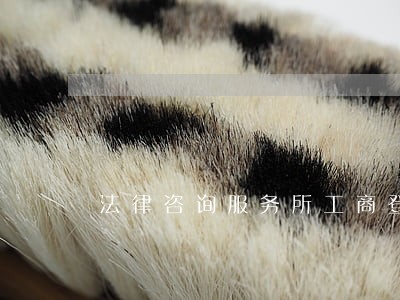法律咨询服务所工商登记 法律咨询服务所工商登记