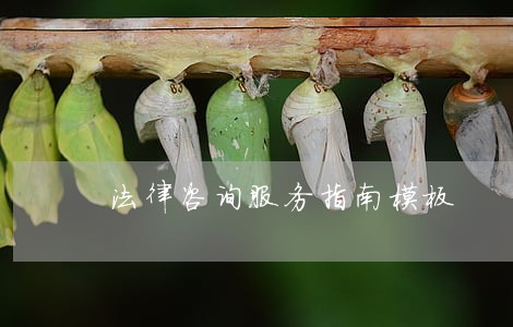 法律咨询服务指南模板 法律咨询服务指南模板