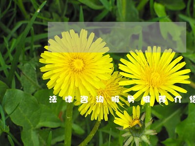 法律咨询服务推荐介绍 法律咨询服务推荐介绍