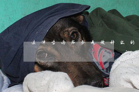 法律咨询服务是做什么的 法律咨询服务是做什么的