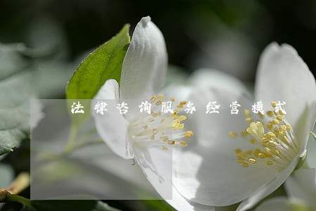 法律咨询服务经营模式 法律咨询服务经营模式