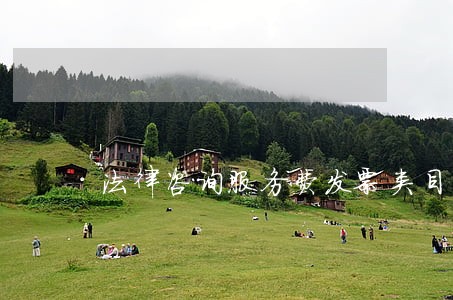 法律咨询服务费发票类目