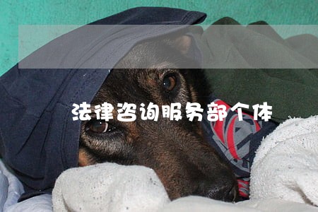 法律咨询服务部个体 法律咨询服务部个体