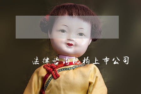 法律咨询机构上市公司
