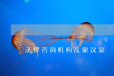 法律咨询机构乱象议案 法律咨询机构乱象议案