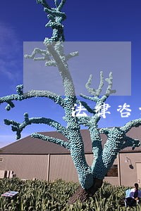法律咨询机构名称如何取 法律咨询机构名称如何取