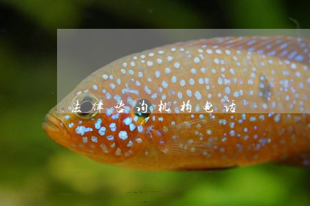 法律咨询机构电话 法律咨询机构电话