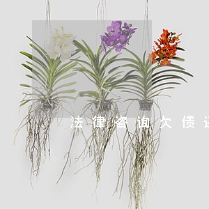 法律咨询欠债还钱 法律咨询欠债还钱